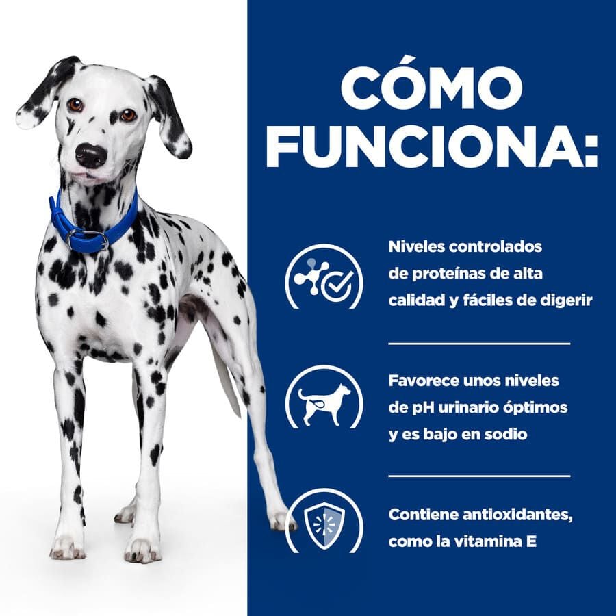 10 kg Hill's Prescription Diet Urinary Care u/d pienso para perros, , large Imagen numero 2